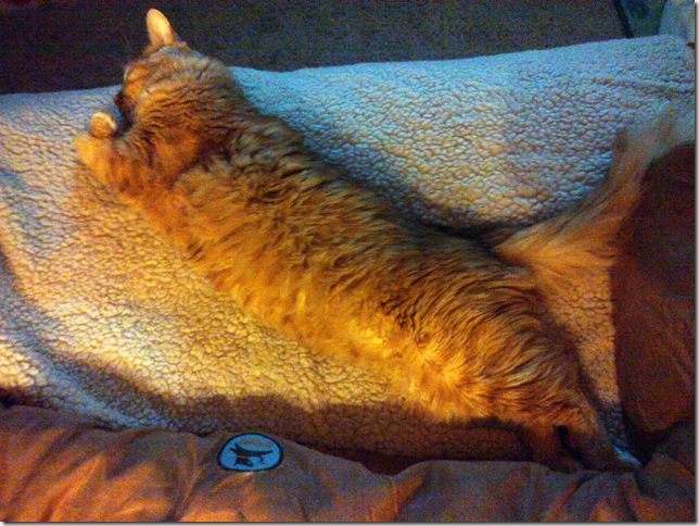 2010-05-03 02.53.18_Anaheim_California_US - Copy